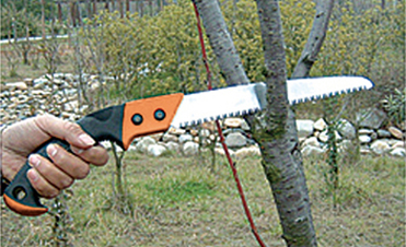 好的木工锯带给你不一样的体验